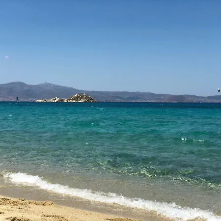Oasis *